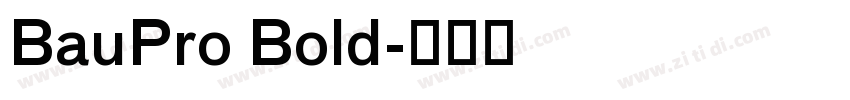 BauPro Bold字体转换